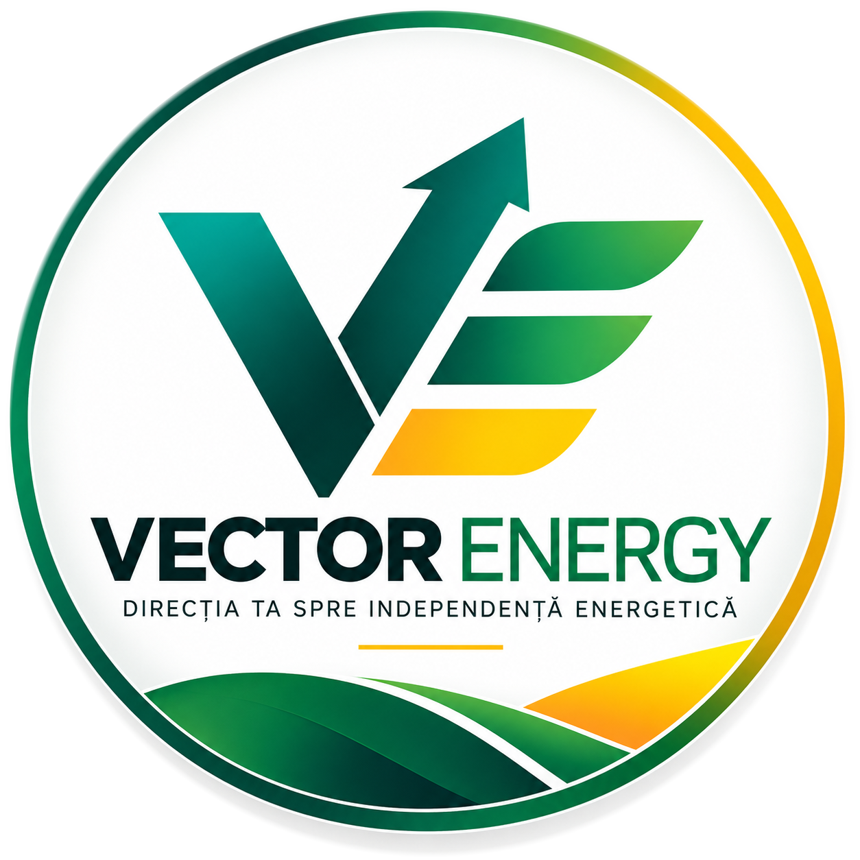 Vector Energy