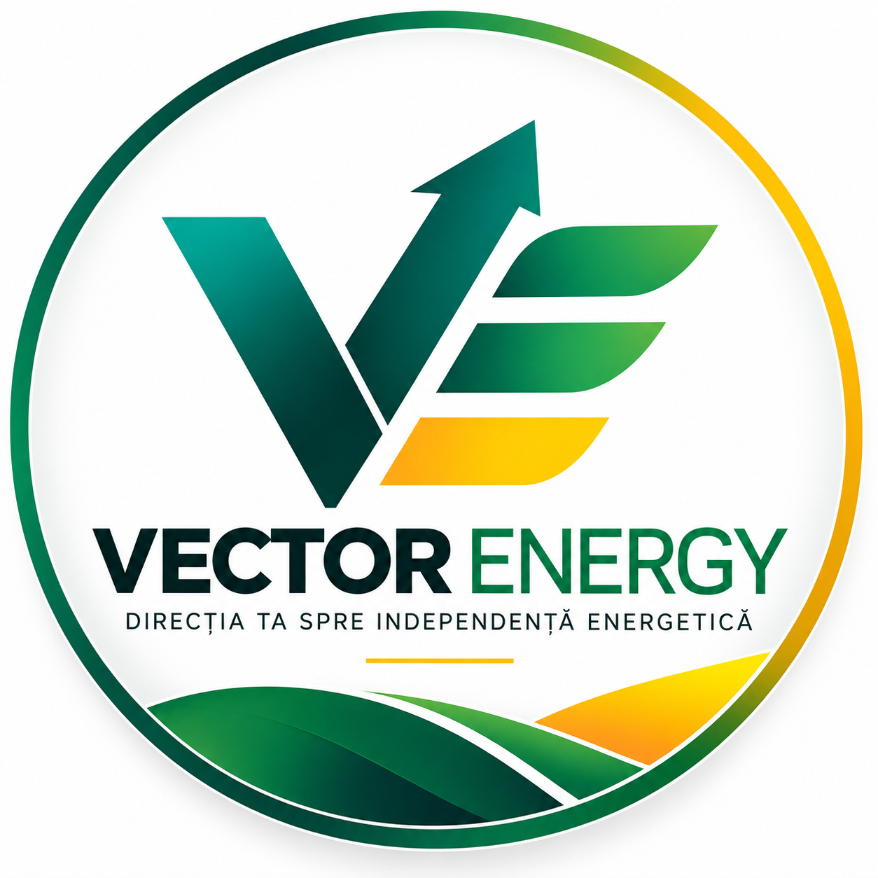 Vector Energy